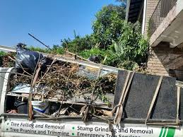 Best Shed Removal  in Willard, MO